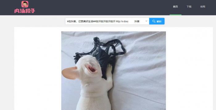 短视频无水印解析源码半开源分享-创客资源网