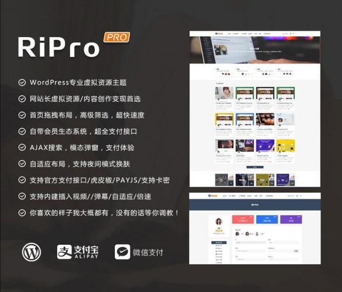 RIPro主题 v7.2 免授权修复后门完美版-创客资源网
