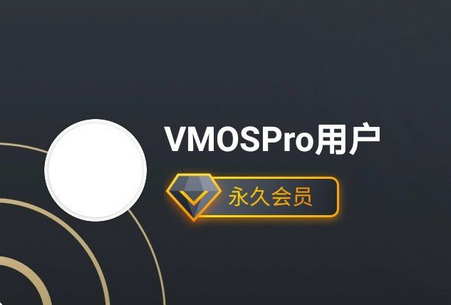 虚拟大师VMOS Pro专业版v1.3.1-创客资源网