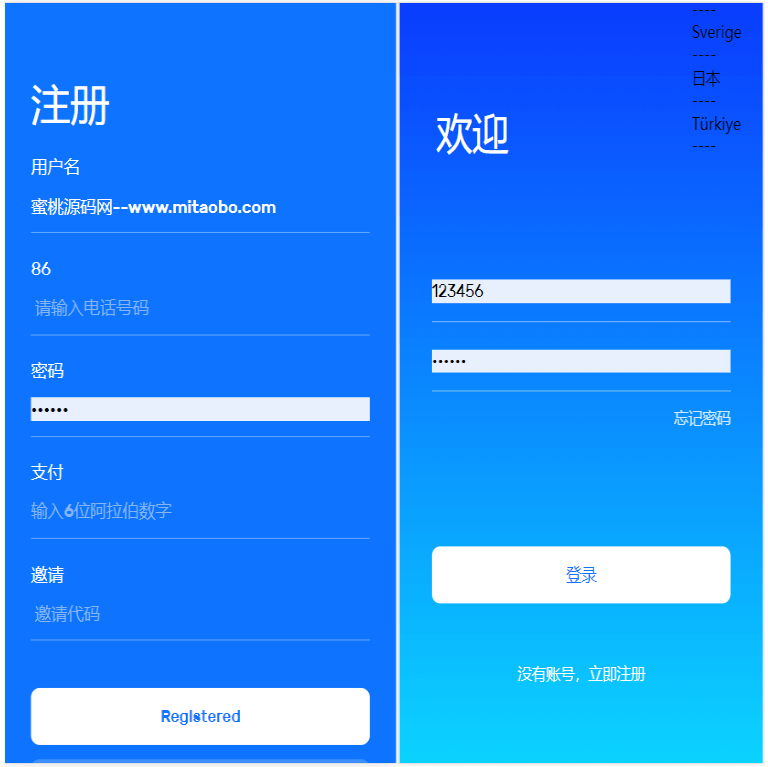 亚马逊抢单源码自动抓取订单任务邀请英文,西班牙语可自动切换语言-创客资源网