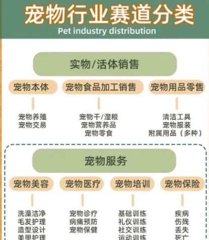 月入过万的宠物赛道副业项目-创客资源网