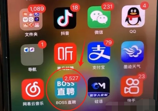 BOSS直聘上，一天赚1000+的偏门小生意！-创客资源网