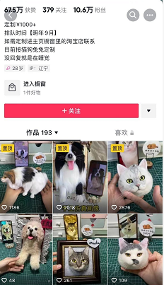 高利润赚钱的偏门项目之宠物羊毛毡手工艺品-创客资源网