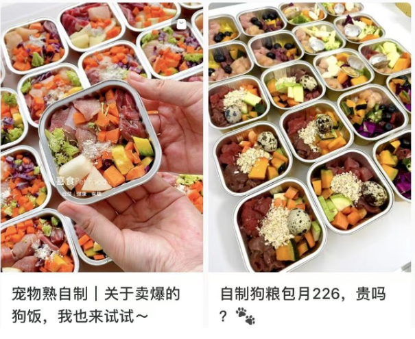 零门槛年赚50万+的偏门小众赚钱项目-创客资源网